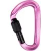 Mammut Classic HMS Screwgate Carabiner - Pink