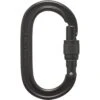 Black Diamond Oval Keylock Srewgate Carabiner - Black