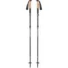 Black Diamond Alpine FLZ Trekkingstokken (Paar) - Carbon