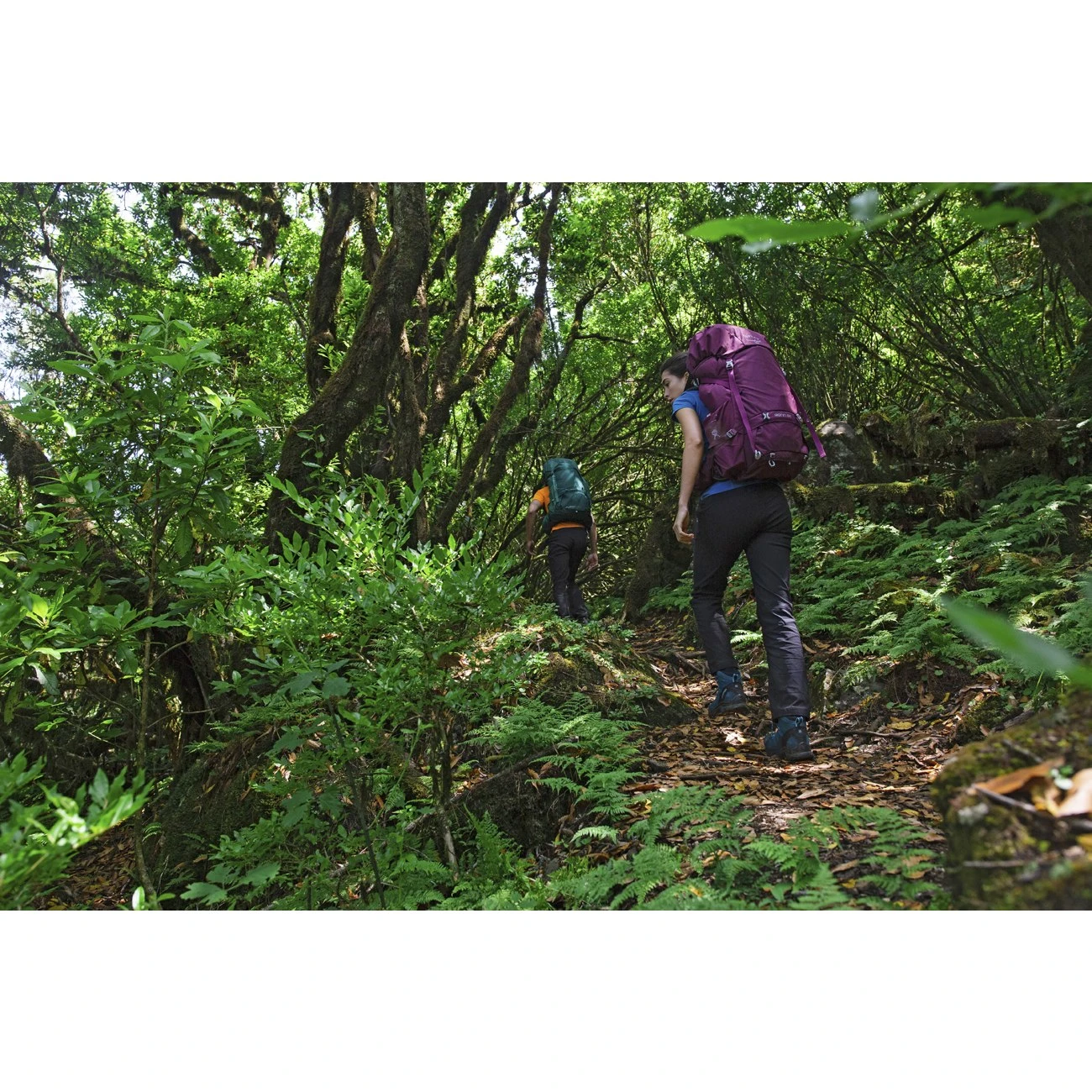 Osprey Renn 50 Women's Backpack - Aurora Purple 10 Osprey Renn 50 Women's Backpack - Aurora Purple - Afbeelding 10