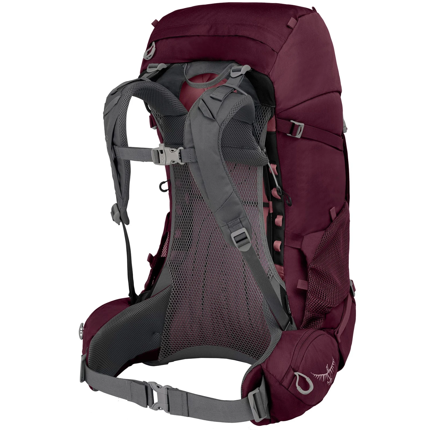Osprey Renn 50 Women's Backpack - Aurora Purple 2 Osprey Renn 50 Women's Backpack - Aurora Purple - Afbeelding 2