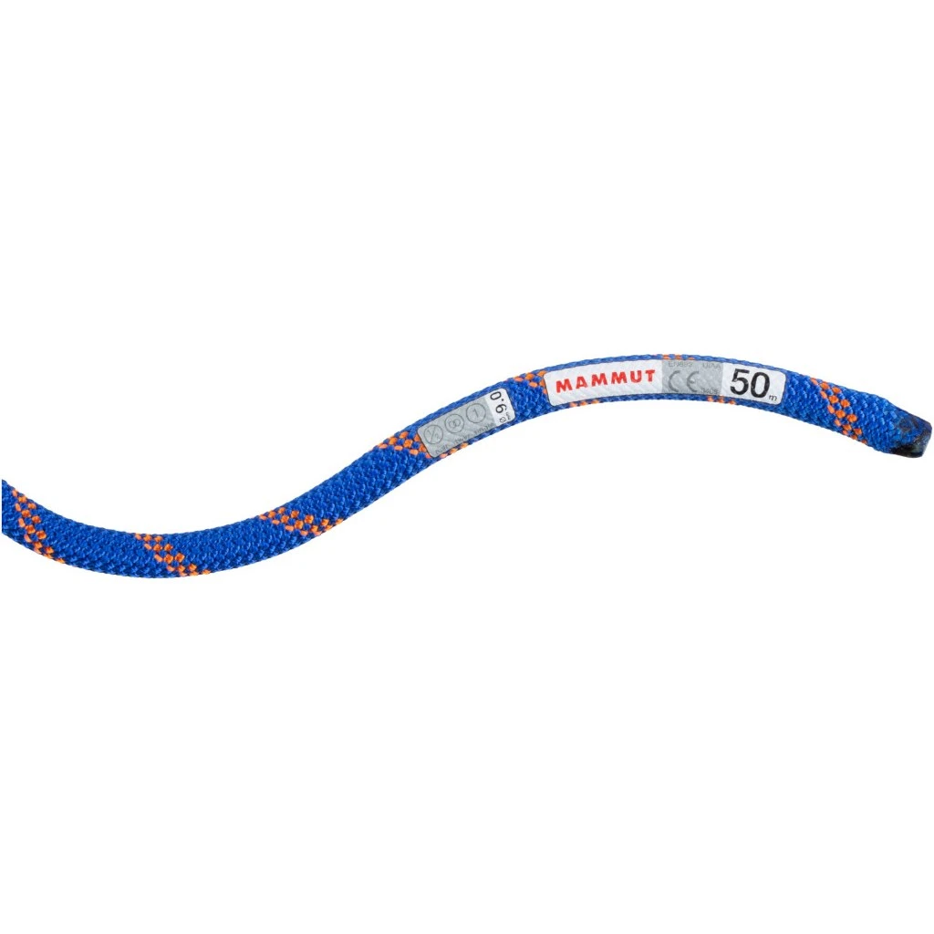 Mammut 9.0 Alpine Sender Dry Rope - 60m - Dry Standard - Ice-sunrise 2 Mammut 9.0 Alpine Sender Dry Rope - 60m - Dry Standard - Ice-sunrise - Afbeelding 2