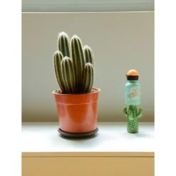 SIGG Kids Water Bottle - Kinder Drinkfles - 0.3 L - Bear Friend -Buitensport Winkel 8729 40 kinder trinkflasche 03l bear friend 3 1454256