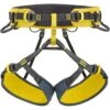 Climbing Technology Wall Harness - Mustard/anthtracite