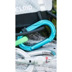 Edelrid Kiwi Slider Carabiner - Icemint -Buitensport Winkel edelrid kiwi 73765 73755 9 1186382