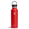 Hydro Flask 21 Oz Standard Mouth Isoleerfles + Flex Dop - 621ml - Goji