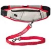 Nathan Sports K9 Runner's Waistbelt With Leash - Large - Vapor Blue/Lollipop