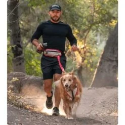 Nathan Sports K9 Runner's Waistbelt With Leash - Large - Vapor Blue/Lollipop -Buitensport Winkel nathan sports k9 runners large waistbelt with leash vapor blue lollipop 11 1028662