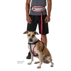 Nathan Sports K9 Runner's Waistbelt With Leash - Large - Vapor Blue/Lollipop -Buitensport Winkel nathan sports k9 runners large waistbelt with leash vapor blue lollipop 5 1028656